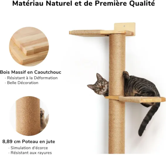 71WuAXJ9ORL._AC_SL1500_