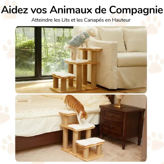 81O8PHH-6zL._AC_SL1500_