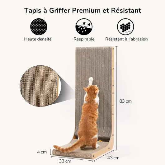 81kN7 EznEL._AC_SL1500_