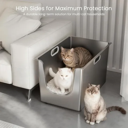 71lRyARmQ6L._AC_SL1500_