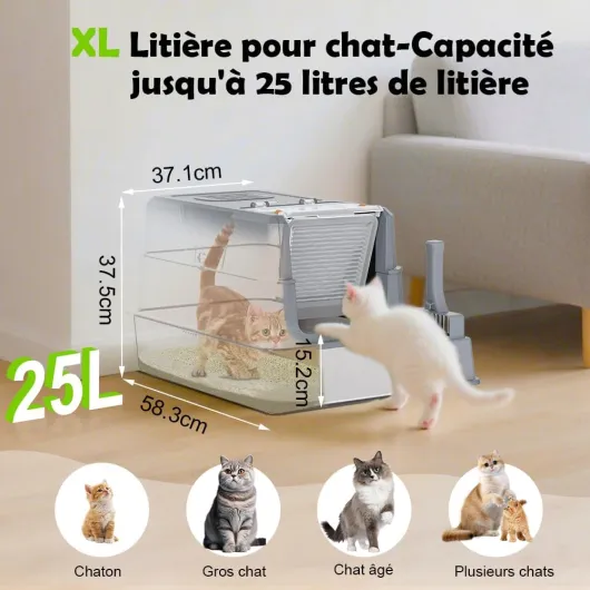 61i7smDrtSL._AC_SL1001_