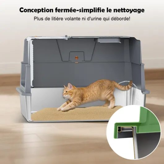 61KgI1zFNBL._AC_SL1001_