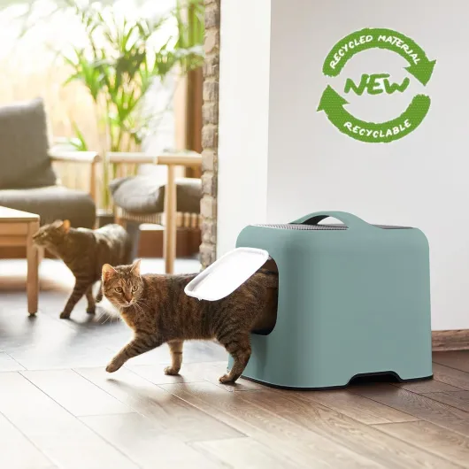 Rotho MyPet Biala Litière pour Chat avec Couvercle et Pelle en Plastique recyclé Vert/Anthracite Vert 51 x 39.5 x 44.3 cm
