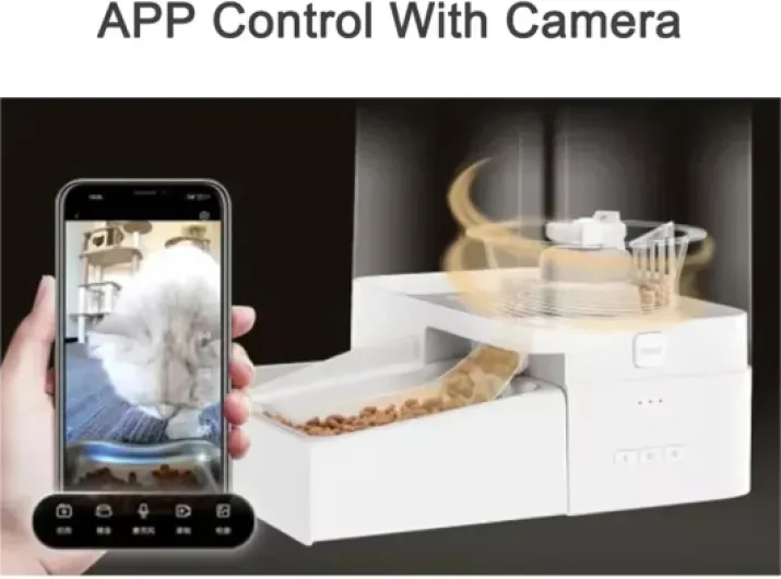 61kFt50j-6L._AC_SL1500_