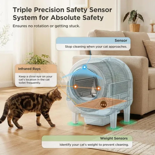 81Un4Z-a4-L._AC_SL1500_