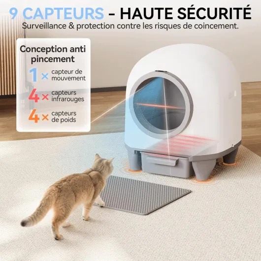 81BMTnd2wDL._AC_SL1500_