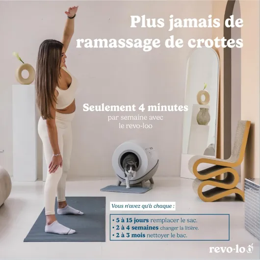 71kvwzg17jL._AC_SL1500_