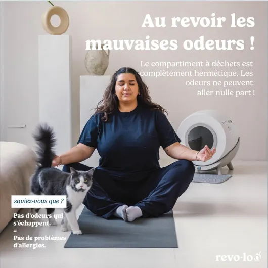 71 k9YKBJJL._AC_SL1500_