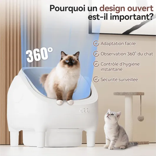 71WuiqbmmVL._AC_SL1500_