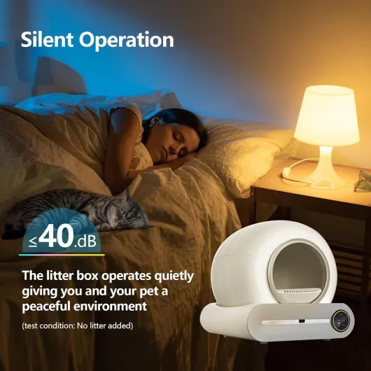 71zTyaX2w4L._AC_SL1500_