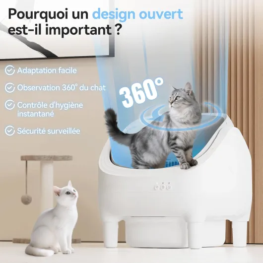 71F6-X4wGuL._AC_SL1500_