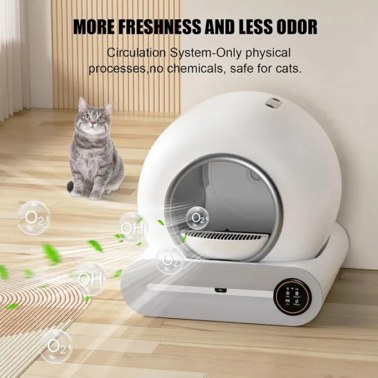 71sp-6ZcV3L._AC_SL1500_