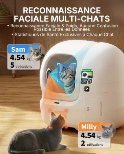 71mqm7eWoBL._AC_SL1500_