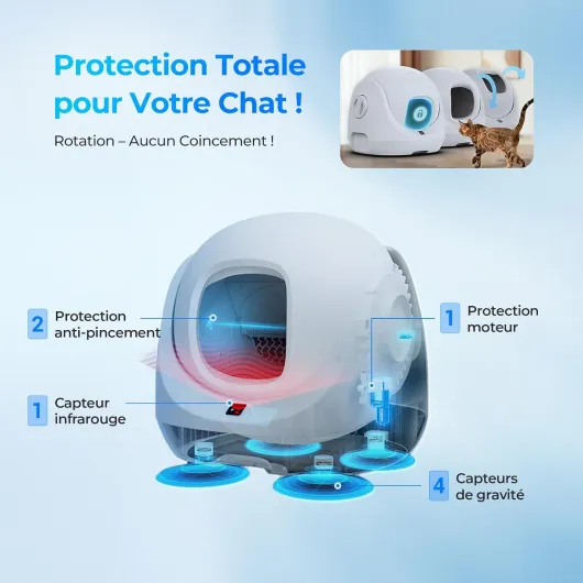 71B2BOqVZYL._AC_SL1500_