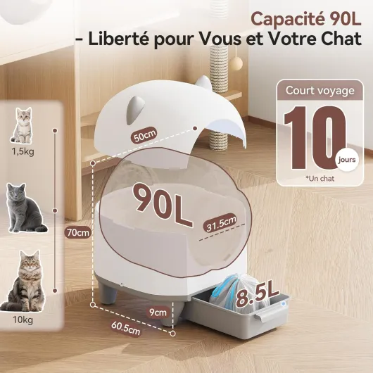 81sdyc-NGsL._AC_SL1500_