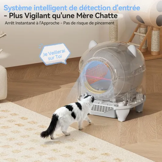 91IjrimJULL._AC_SL1500_