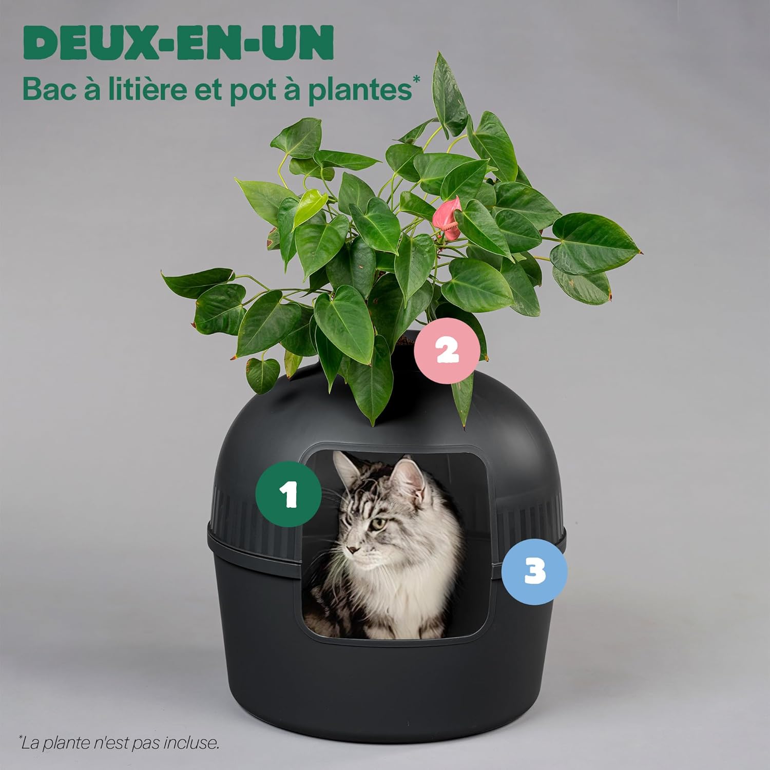 Bac à litière - Flower XXL – Toilettes cachées pour Chats – pour Grands Chats – avec Grande entrée (51 cm) et Partie supérieure Amovible – Noir Ligne Noire