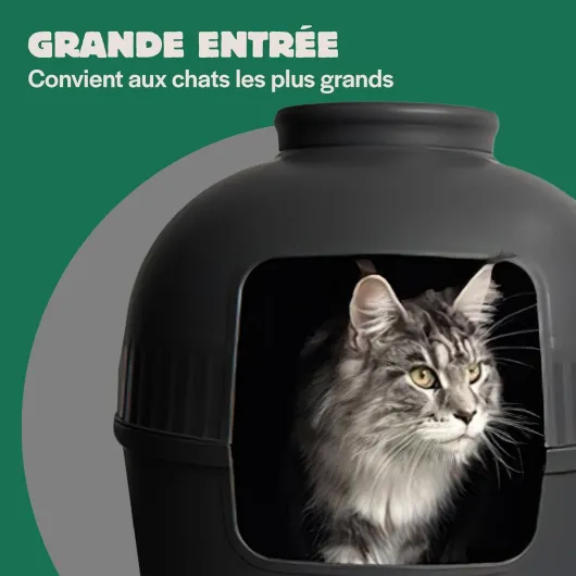 71ZEiCWjOBL._AC_SL1500_