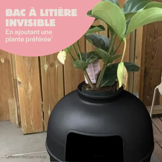 71r6JF77vIL._AC_SL1500_