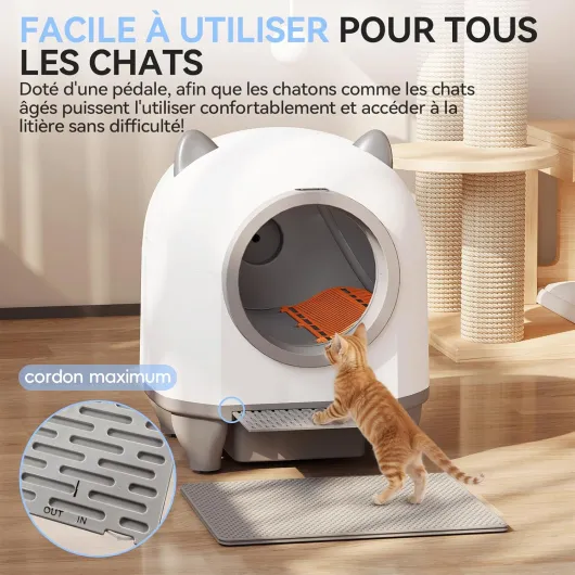 81myXlw aHL._AC_SL1500_