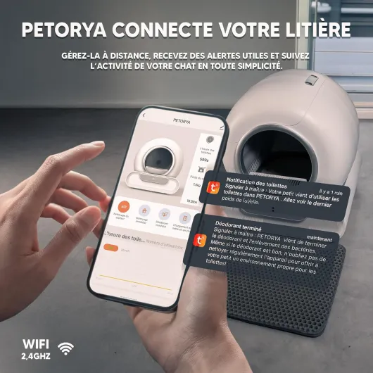 81XFo47iUeL._AC_SL1500_