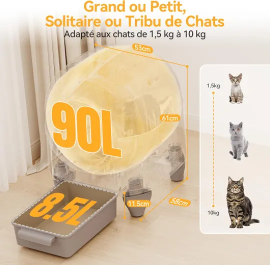 81 0SkuXe-L._AC_SL1500_