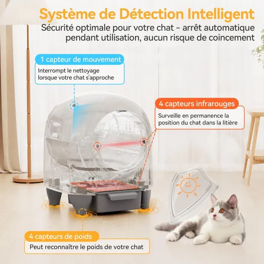 81szMzsu7pL._AC_SL1500_