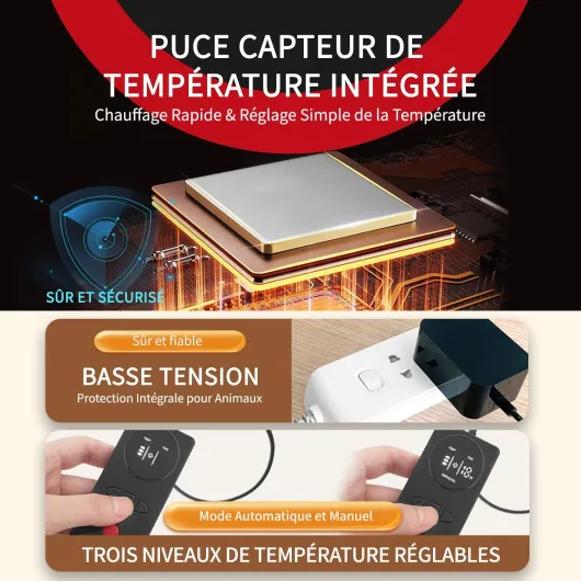 71jgUDcFa L._AC_SL1500_