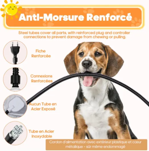 81UoJOtdbmL._AC_SL1500_