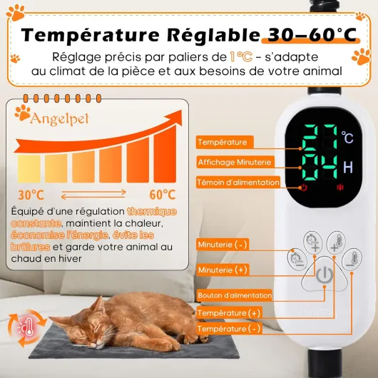 81rAldvshIL._AC_SL1500_