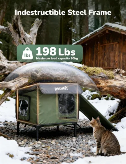 81q9Mi96cfL._AC_SL1500_