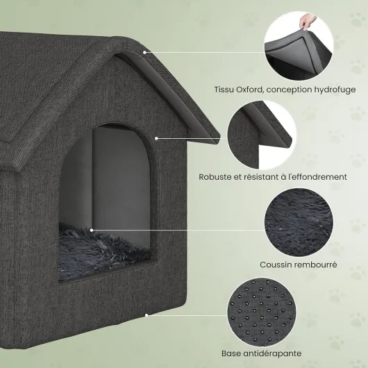 81tkQmDSubL._AC_SL1500_