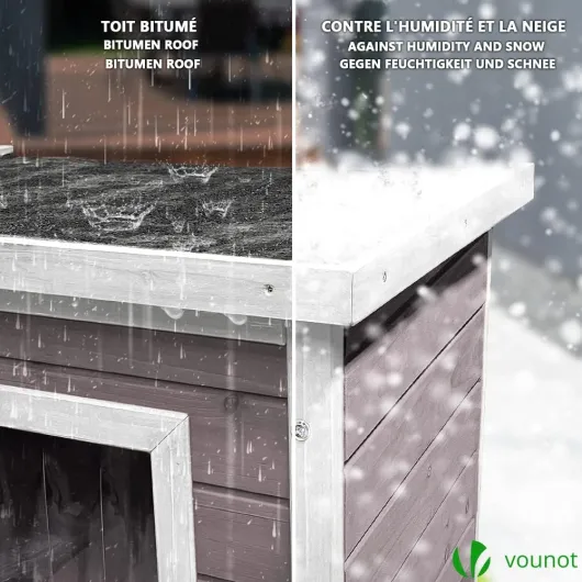 61BNEqQ0cvL._AC_SL1000_