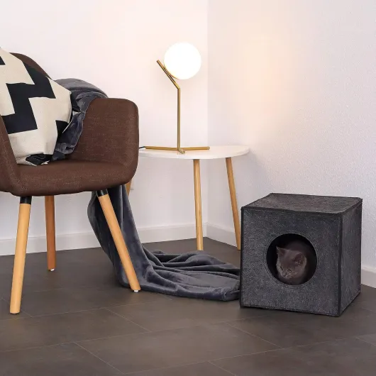 81OP9a1N HL._AC_SL1500_