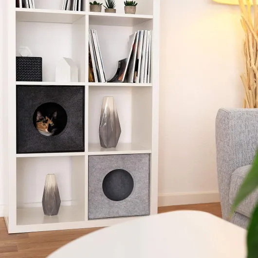 71xta5d4Y6L._AC_SL1500_