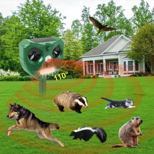 716mBmN7wlL._AC_SL1200_