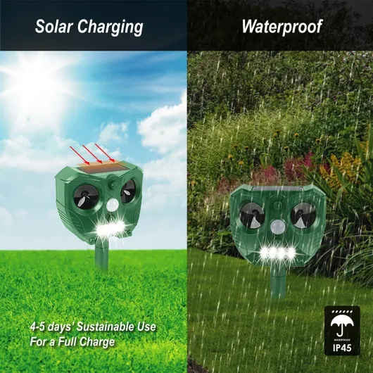 71bT53cJ4iL._AC_SL1200_