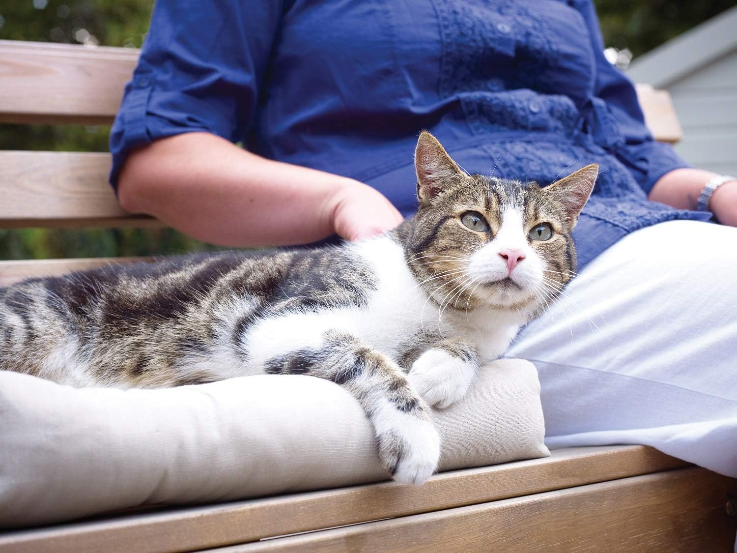 Chatière à Puce électronique Petporte, accès Automatique avec Reconnaissance de Puce, clé de Porte Incluse, pour Chats jusqu'à 7 kg Unique Petporte