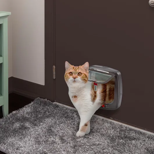 81aOc5o27qL._AC_SL1500_