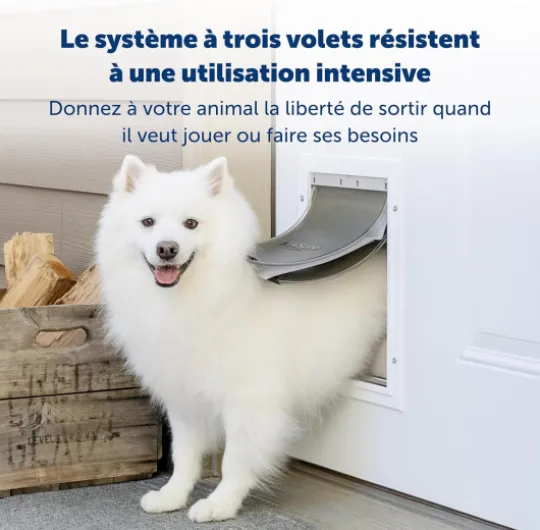 Porte pour Animaux de Compagnie pour Conditions Climatiques Extrêmes - Triple Volet, Économie d'Énergie, Cadre Personnalisable - Grande Plastique L - Grand
