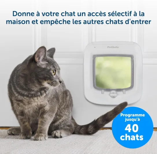 81Qz04pdSxL._AC_SL1500_