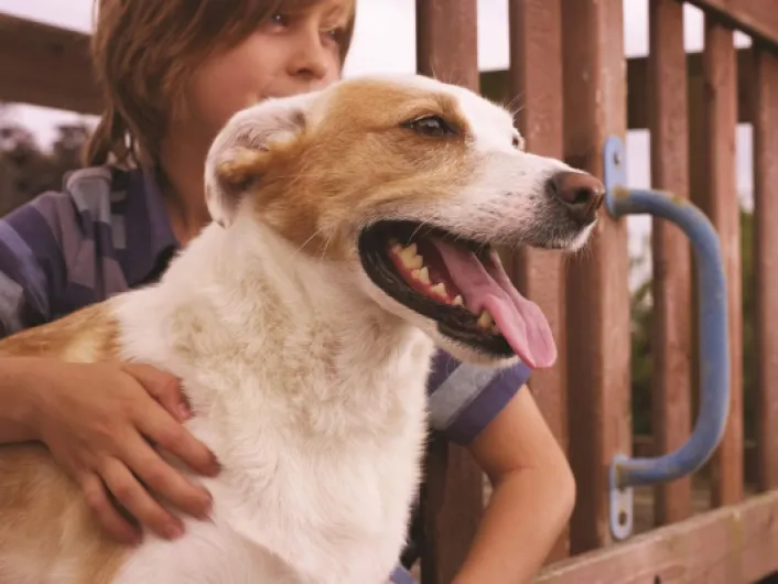 71PIqbdumLL._AC_SL1500_