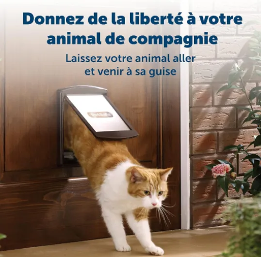 91mtV4mq4LL._AC_SL1500_