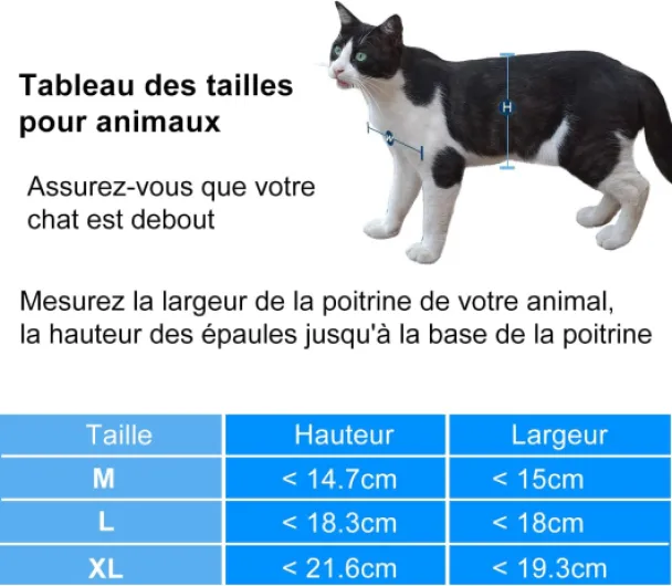 71UiNtmoLFL._AC_SL1468_