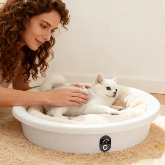 71rxEzai-WL._AC_SL1500_