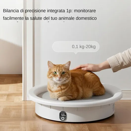 71YykQfLYTL._AC_SL1500_