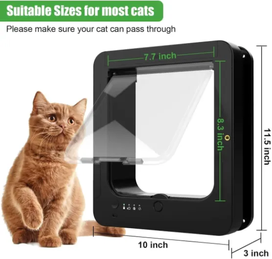 71YkkvkDBFL._AC_SL1500_