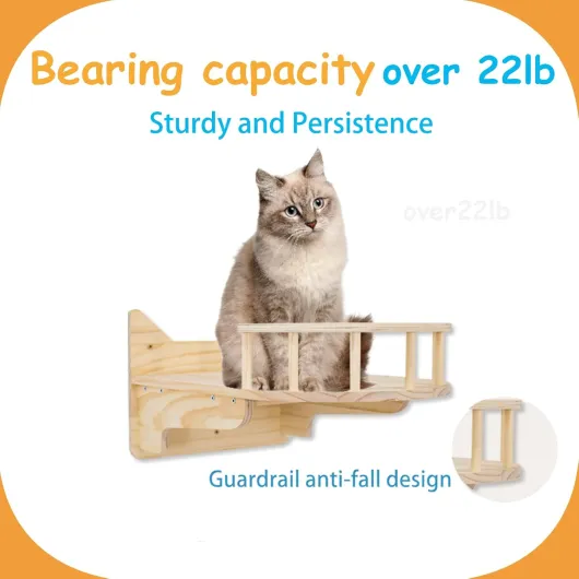 61puUgcuBqL._AC_SL1500_