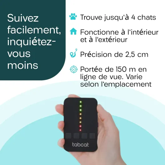 71QEhW6VxAL._AC_SL1500_