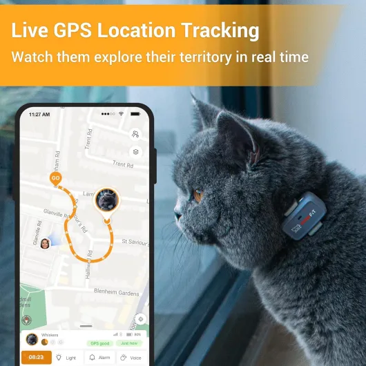 Pawfit Tracker GPS Lite for Cats 4g - Suivi en temps réel - Suivi des activités - Historique de localisation - Portée illimitée - Collier de sécurité inclus - Lilas gris